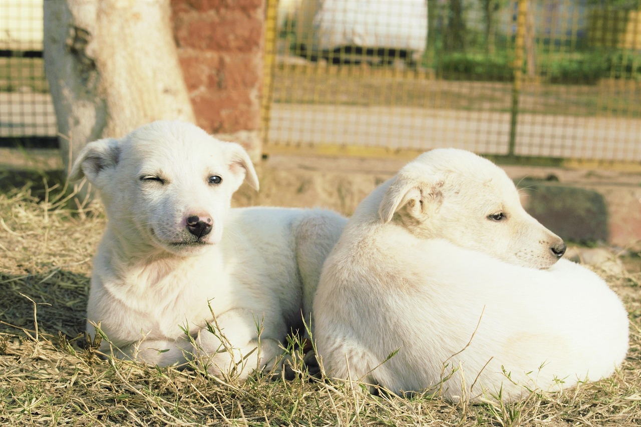 découvrez des conseils et des ressources pour améliorer les relations familiales, renforcer les liens et favoriser une communication harmonieuse au sein de votre famille.