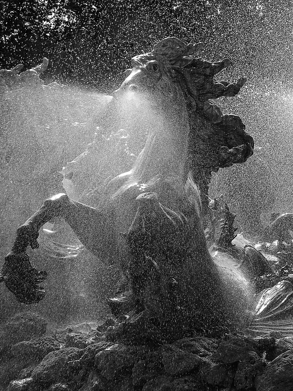 découvrez toute l’actualité, les matchs, les joueurs et les résultats des girondins de bordeaux, le club de football emblématique du sud-ouest de la france.