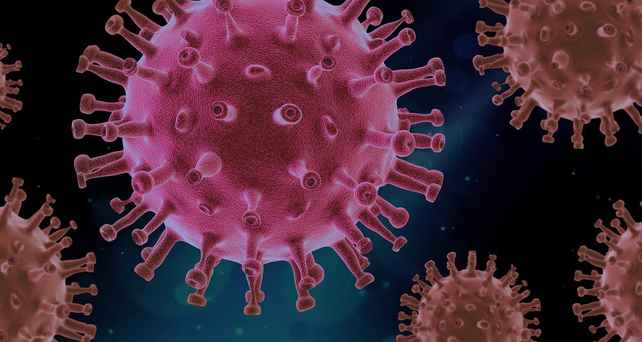 découvrez les informations essentielles sur l'épidémie de gastro-entérite virale : symptômes, modes de transmission, prévention et conseils pour limiter sa propagation.