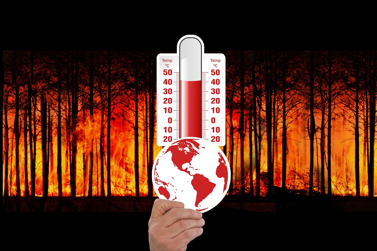 découvrez les causes, les impacts et les solutions face au changement climatique pour préserver notre planète et assurer un avenir durable.