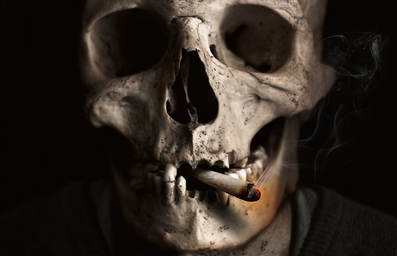 découvrez des réflexions profondes et des informations essentielles sur le thème de la mort, son impact culturel, philosophique et personnel.