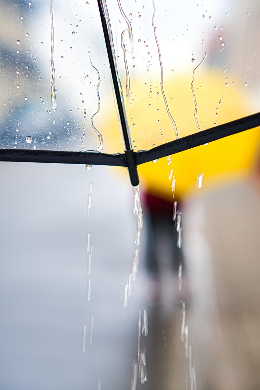 consultez les dernières prévisions météo en temps réel pour votre région et préparez-vous à toutes les conditions climatiques grâce à nos mises à jour fiables et détaillées.
