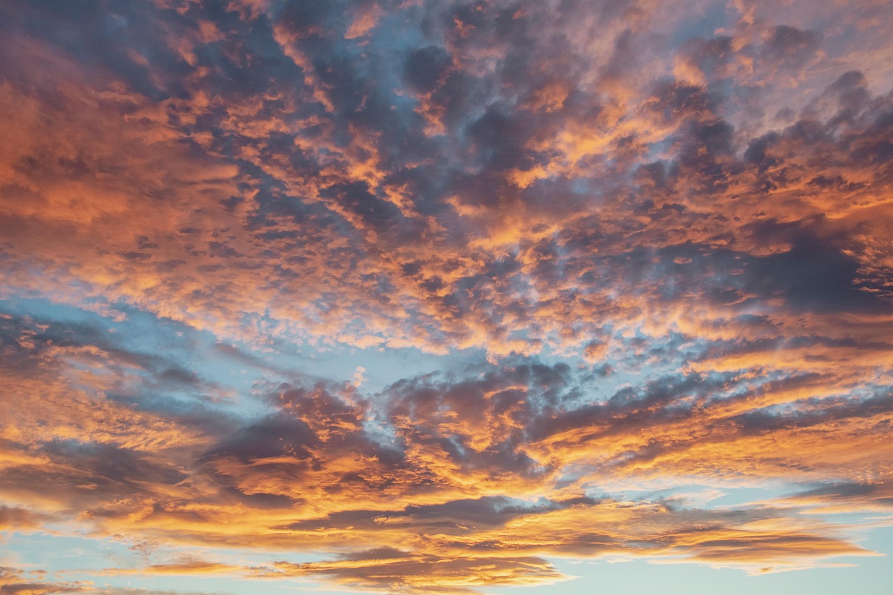 consultez les prévisions météo précises et à jour pour votre région. restez informé des conditions climatiques, températures, et alertes météo en temps réel.
