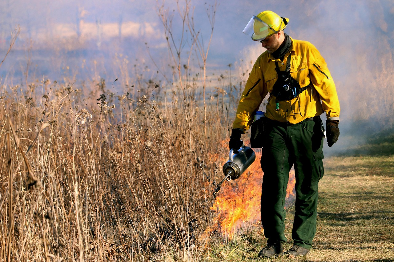 informations essentielles et conseils de prévention sur les incendies de forêt (wildfires) pour protéger l'environnement et les communautés.