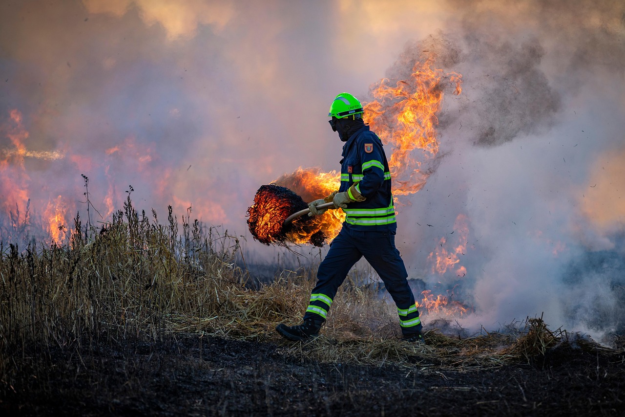 informations et actualités sur les incendies de forêt : causes, prévention, conséquences et moyens de lutte contre les feux de wildfire.