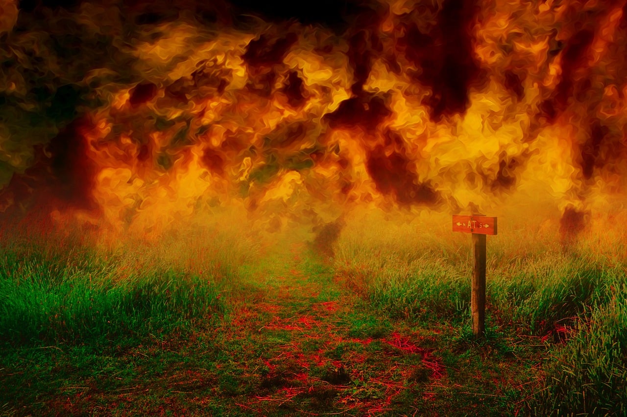 découvrez tout sur les incendies de forêt : causes, prévention, impacts environnementaux et conseils de sécurité pour protéger les zones touchées.